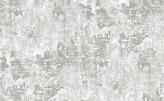 Обои виниловые на флизелиновой основе горячего тиснения  CHINA  1.06*10.05м DECO Style 150602LL купить