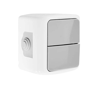 Выключатель открытой установки Сигма 2-клавишы IP54 10A бело-серый General 477065 купить