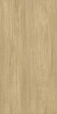 Керамогранит Альдерис бежевый матовый 60*120см Realistic  купить