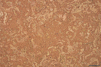 Пробковое покрытие CorkStyle EcoCork клеевое Madeira 915*305*6