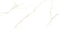 Керамогранит Bellevue Gold Polished 60*120см Primavera PR218