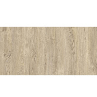 Столешница СП WR кромка 900*600*38мм 1/1/1/1мм Дуб мадуро Alternative 6289 WL/PE
