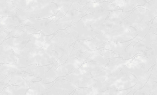 Обои Life Ariana 1.06*10м виниловые на флизелиновой основе Grandeco 148003 купить