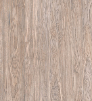 Керамогранит Forest Gold Terra Rec  20*80см Primavera WD11 купить
