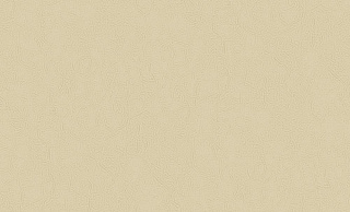Обои Tiara горячее тиснение 1.06*10 Erismann 60352-06 купить