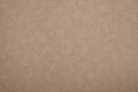 Обои Antivandal COLOR NC 1.06*10м виниловые на флизелиновой основе 4050-070