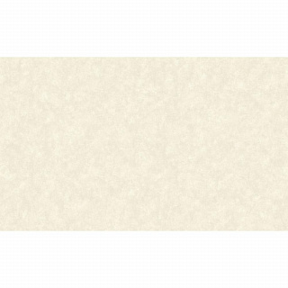 Обои Bruno Zoff Platinum PLT 60104-4 флизелиновые 1.06*10м бежевый купить
