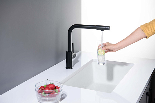 Смеситель ЕВРОПА для кухни с подключением к фильтру  черный матовый Aquatek AQ1386MB купить