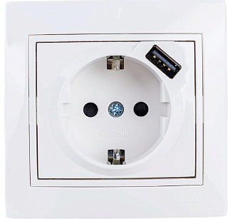 Розетка MIRA 701-0202-181 с заземлением и USB разъёмом белый LEZARD 522374 купить