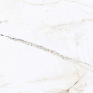 Керамогранит Regal Carara Polished 60*60см Primavera PR103   купить