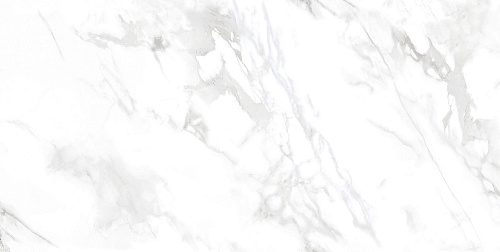 Керамогранит Lamia White Carving 1.44кв.м. 60*120см Primavera CR226 купить