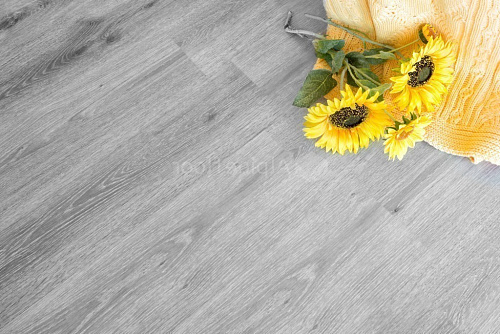Покрытие клеевое LVT Easy Line дуб пепельный 1219.2*184.15*3мм 43класс Alpine Floor ЕСО 3-16 купить