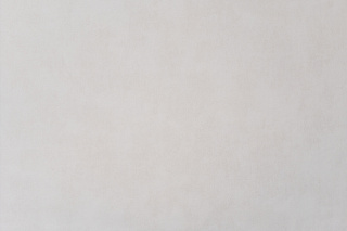 Обои виниловые на флизелиновой основе горячего тиснения Domingo Спектр Артекс 11362-03 купить