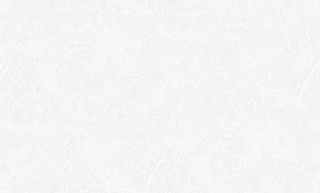 Обои Ateliero Selena виниловые на флизелиновой основе горячего тиснения 287740 купить