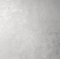 Обои виниловые на флизелиновой основе горячего тиснения Ричард фон  1.06*10.05м Victoria Stenova 585041