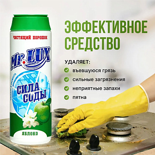 Чистящий порошок  Mr.LUXE 480г Яблоко купить