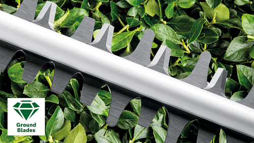 Кусторез (мотоножницы) электрические Bosch EasyHedgeCut 55 450Вт 550мм ф16мм для живой изгороди (0600847C02) купить