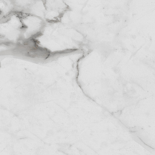 Керамогранит Carrara Betria Polished 60*60см Royce R_PR1005 купить