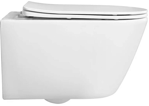 Унитаз подвесной БЕТТА безободковый с сиденьем микролифт Aquatek AQ1253W-00 купить