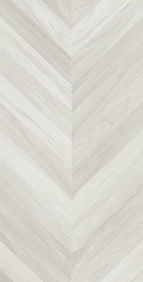 Керамогранит Hardwood Light матовый толщина 10.8мм 60*120 купить