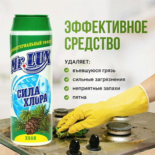 Чистящий порошок  Mr.LUXE Сила хлора 480г хвоя купить