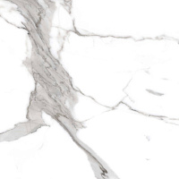 Керамогранит Salvatore Carving  60*60см Primavera CR117