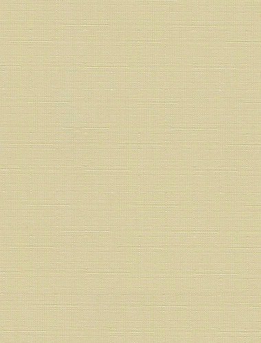 Штора рулонная СРШ-01МЭ-2875 47(43)*160см РБ "Лен" шампань Delfa купить