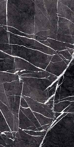 Керамогранит Fedele Negro High glossy 1.44кв.м 60*120см Primavera GR203 купить