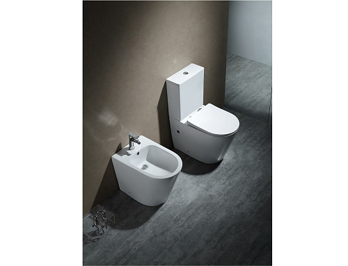 Биде напольное ВЕГА крепеж 540*365*410мм Aquatek AQ1058-00 купить