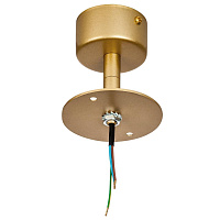 Крепление потолочное RULLO для светильника 213490 GX53/21648x золото LightStar 590110