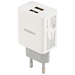 Зарядное устройство ENERGY ET-22 2 USB белый 100292 купить