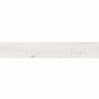 Керамогранит WOOD SERIES Grapfit White 120*20см Absolut Gres AB1066W купить