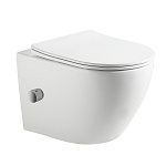 Унитаз подвесной безободковый с смесителем  485*370*365мм  HOLLER POINT BIDET D-P3666