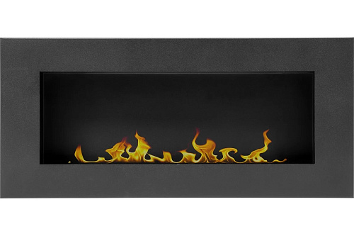 Биокамин Firelight BFP/W-90 Black   купить