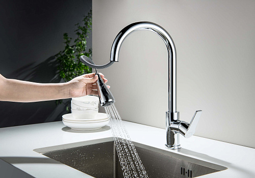 Смеситель ЛУГАНО для кухни с вытяжным изливом 2 jet Aquatek AQ1784CR купить