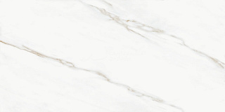 Керамогранит Oriental White  60*120 Realistic купить