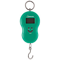Безмен электронный HS-3003 Homestar 50кг 002692