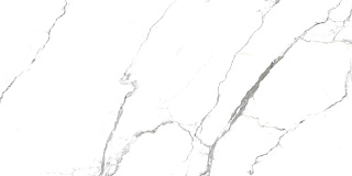 Керамогранит Acothly Polished 1.44кв.м 60*120см  Primavera PR234 купить