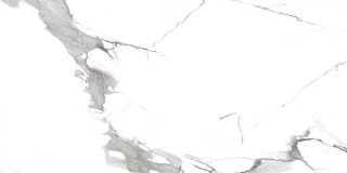 Керамогранит Segesta Grey Matt 60*120см Royce R_NR2002 купить