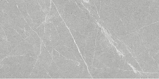 Керамогранит Dakota Gris Antislip R10 60*120см Staro 97400754 купить