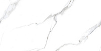 Керамогранит Velvet Statuario Carvino Matt 60*120см Staro 48262009