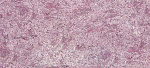 Жидкие обои SILK PLASTER Виктория Б-713