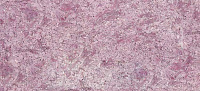 Жидкие обои SILK PLASTER Виктория Б-713