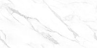 Керамогранит Ginza Porsch 60*120см Realistic