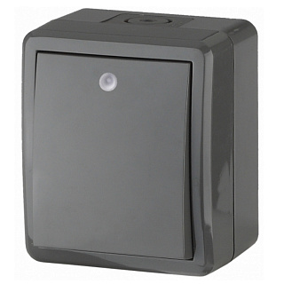 Выключатель ЭРА Эксперт серый с подсветкой IP54 10AX-250B Б0020672 купить