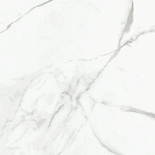 Керамогранит Dalim White 60*60см Primavera NR104 купить