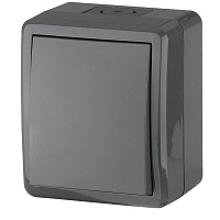 Переключатель ЭРА Эксперт серая IP54.10AX-250B Б0020674 
