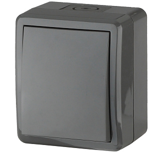 Переключатель ЭРА Эксперт серая IP54.10AX-250B Б0020674  купить
