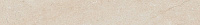Бордюр Forte dei Marmi Rock Siberian Ivory Battiscopa 7.2*60см Atlas Concorde 610130008145
