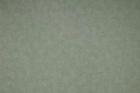 Обои Antivandal COLOR NC 1.06*10м виниловые на флизелиновой основе 4050-030
